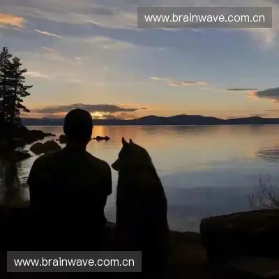 陆雍泰